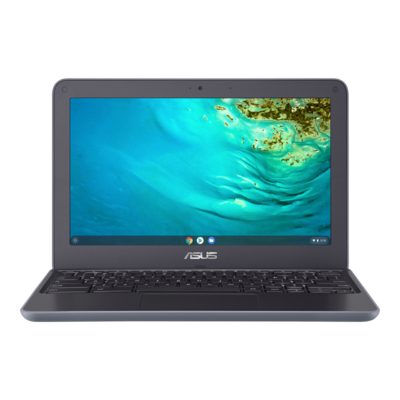 ASUS Chromebook C202X