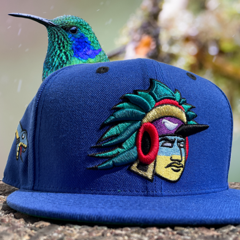 Left Sided Hummingbird