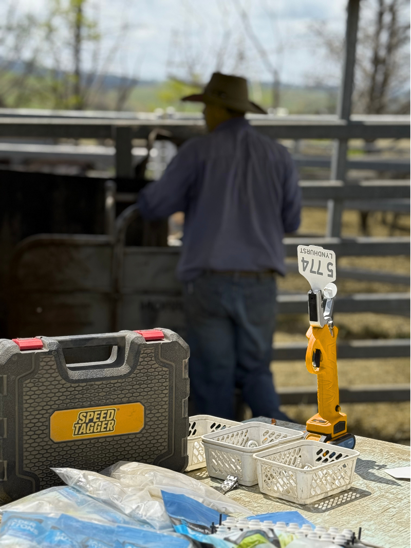The Original Speed Tagger