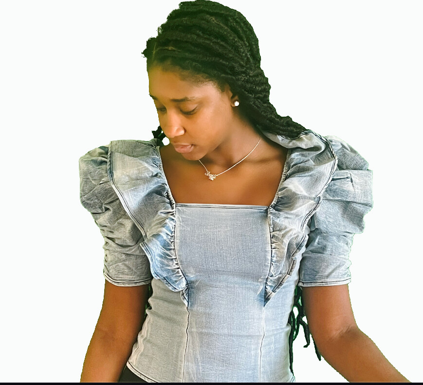Ruffling Feathers Denim Top