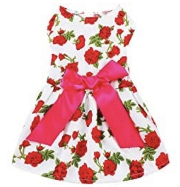 Elegant Ribbon Rose Pet Dress