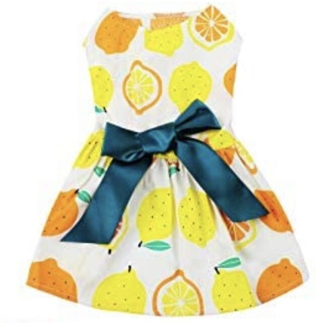 Elegant Ribbon Lemon Pet Dress