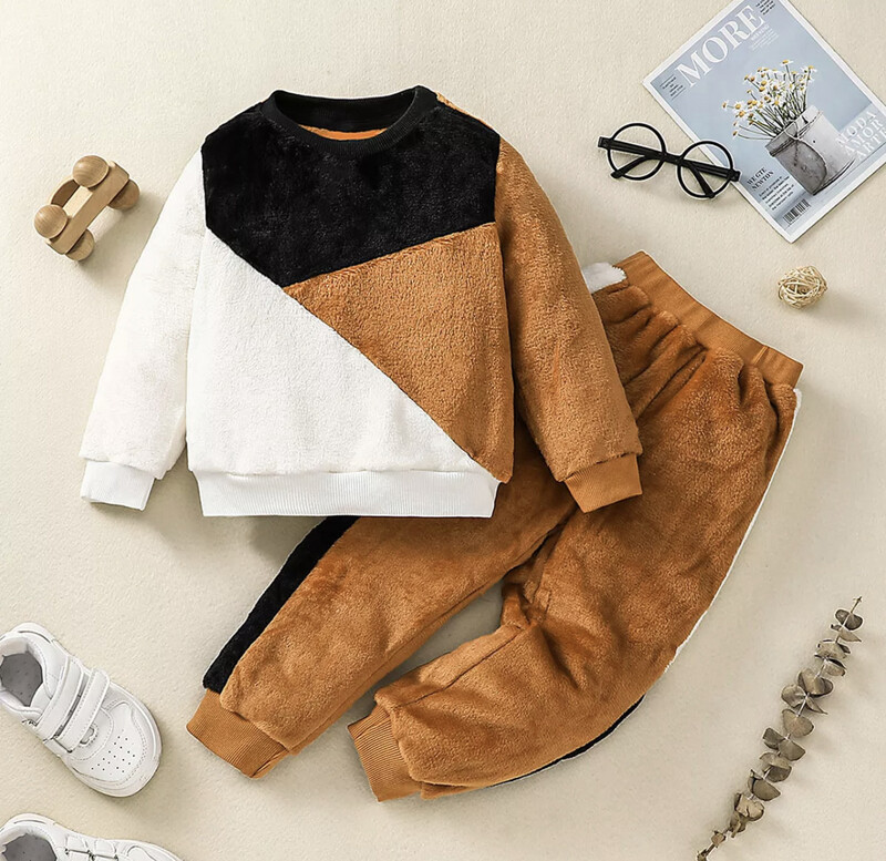 2-piece Toddler Boy Color-block Plush Sweatshirt Set