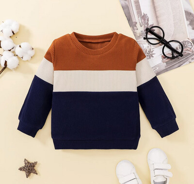 Toddler Boy Color-block Ribbed Knitted Sweater