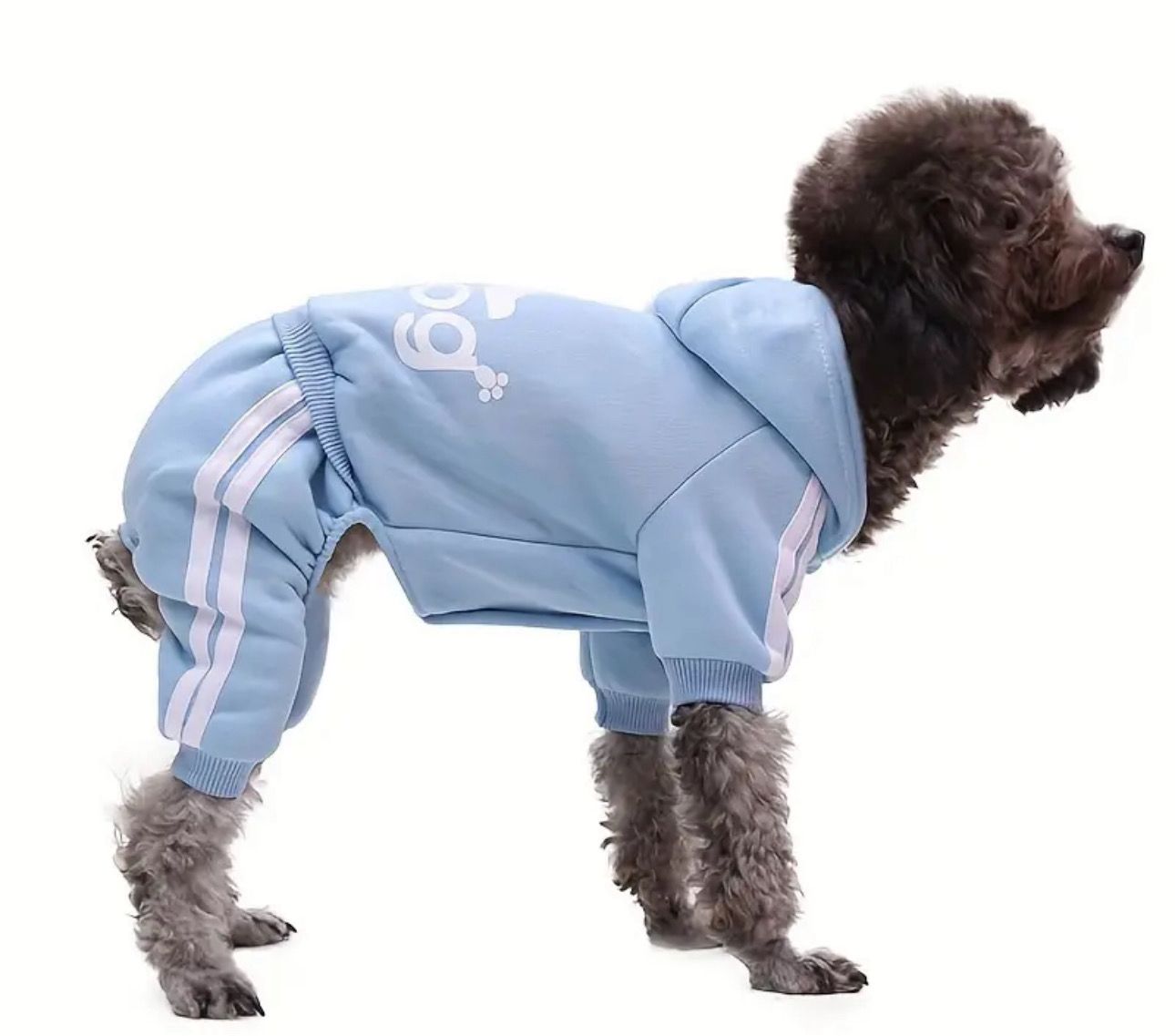 Pet Hoodie Sweat Suit - Light Blue