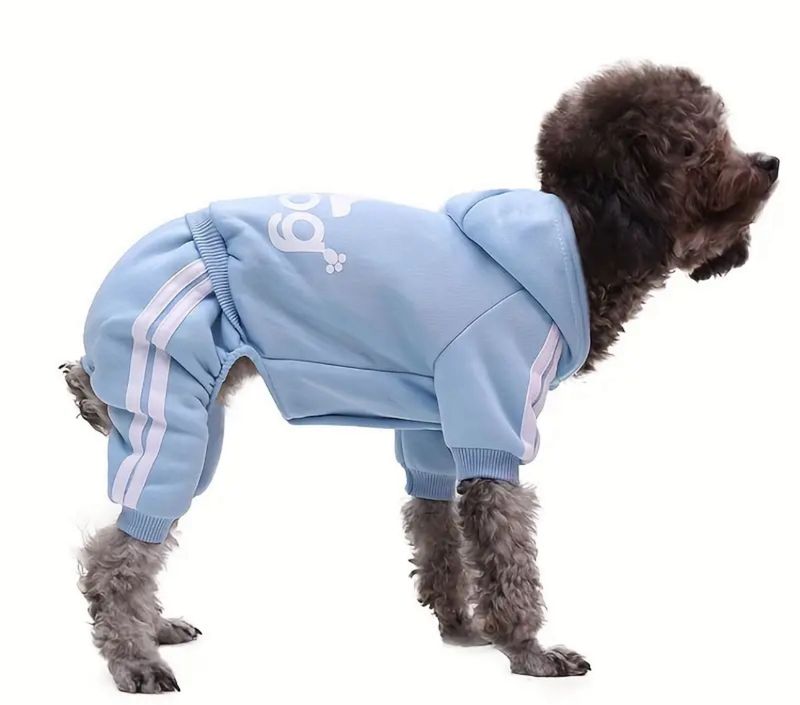 Pet Hoodie Sweat Suit - Light Blue