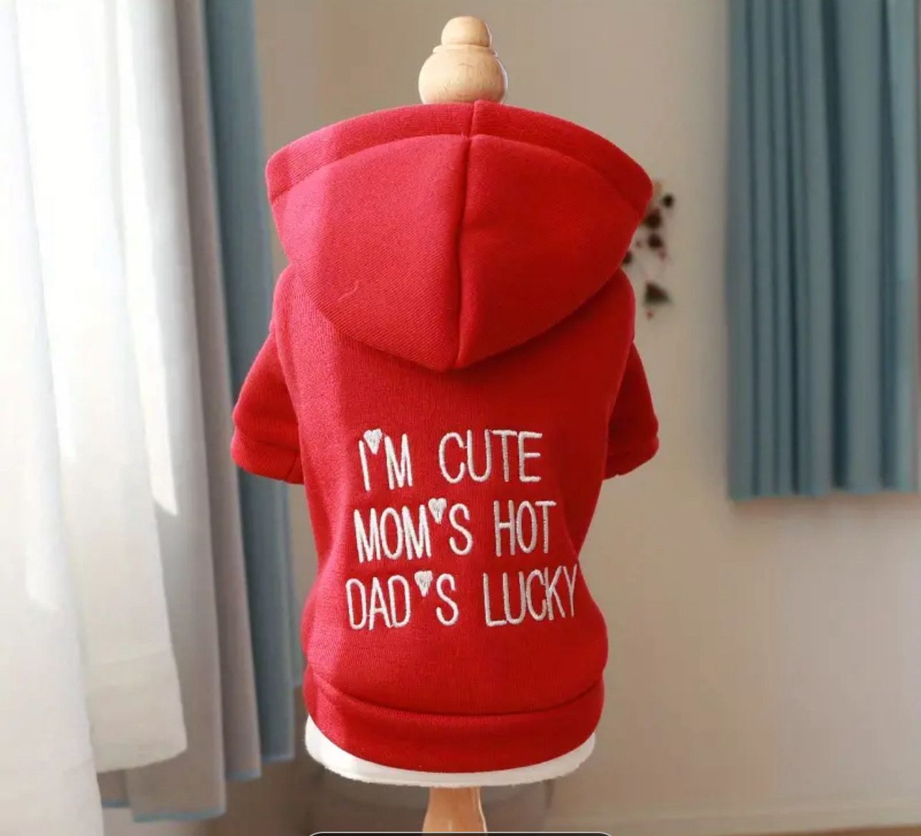 Hoodie Sweatshirt