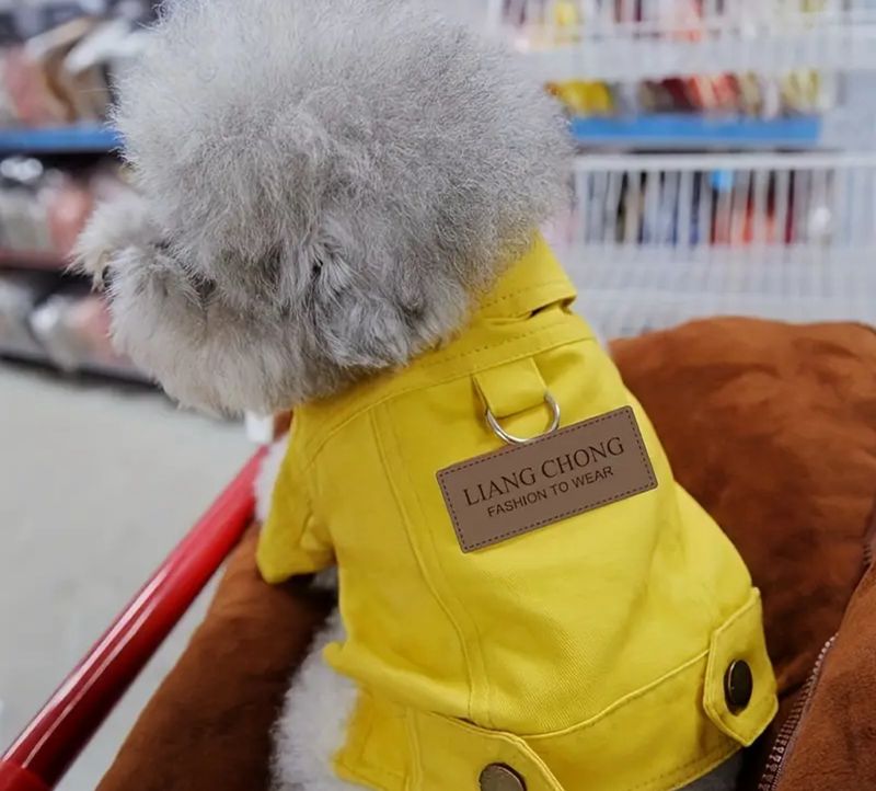 Dog Vest With Letter And Leash Ring - Yellow