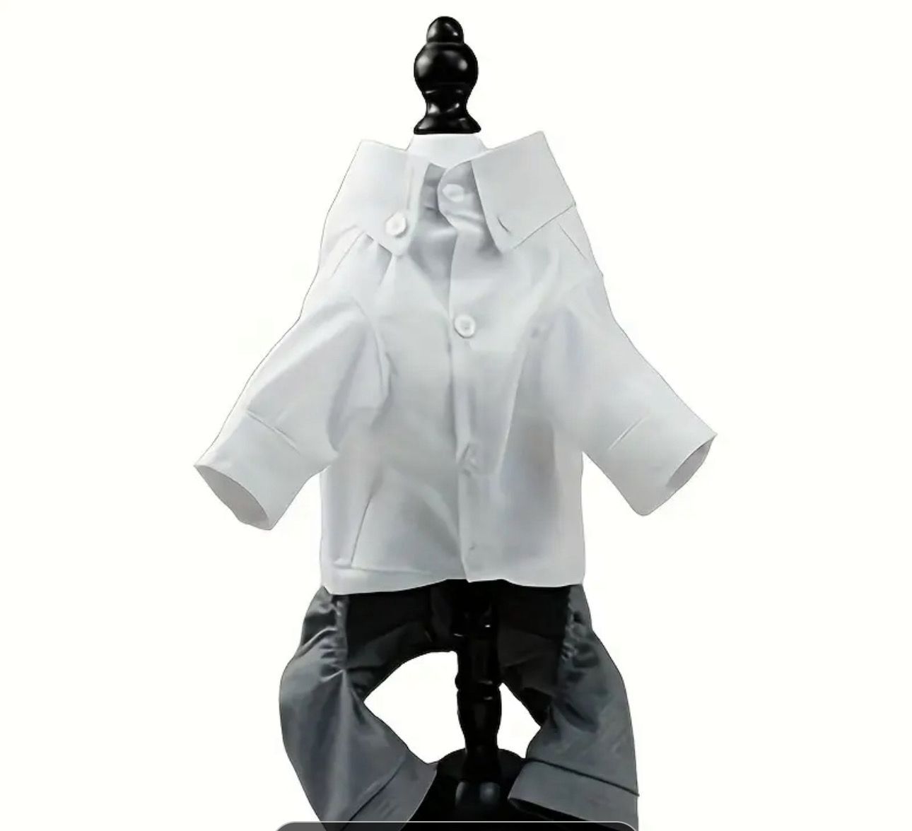 Fashionable Outfit Pet Button Shirt Gray Pants