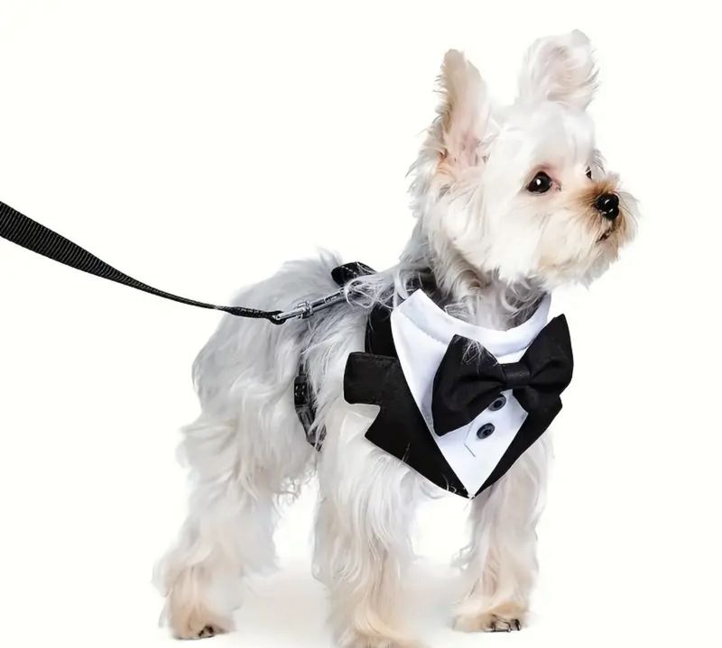 Formal Dog Wedding Tuxedo Harness