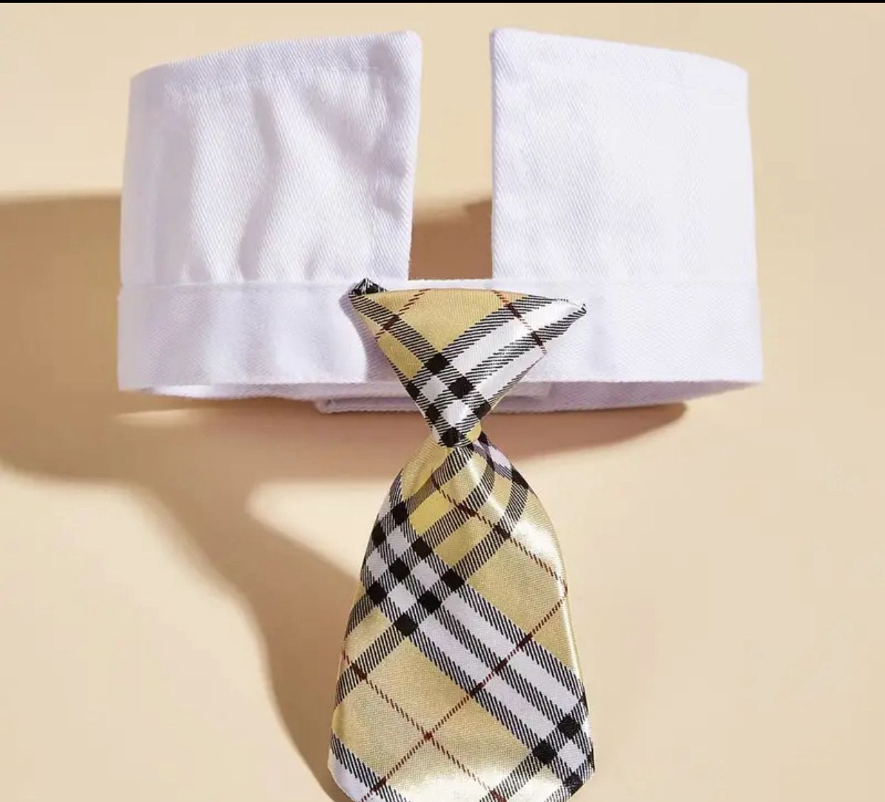 Elegant Pet Collar Neck Tie
