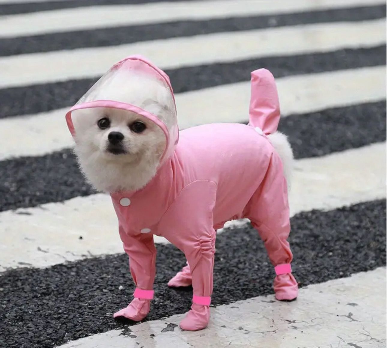 Waterproof Dog Raincoat with Hood and Shoe Covers