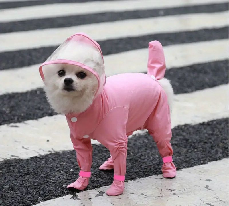 Waterproof Dog Raincoat with Hood and Shoe Covers