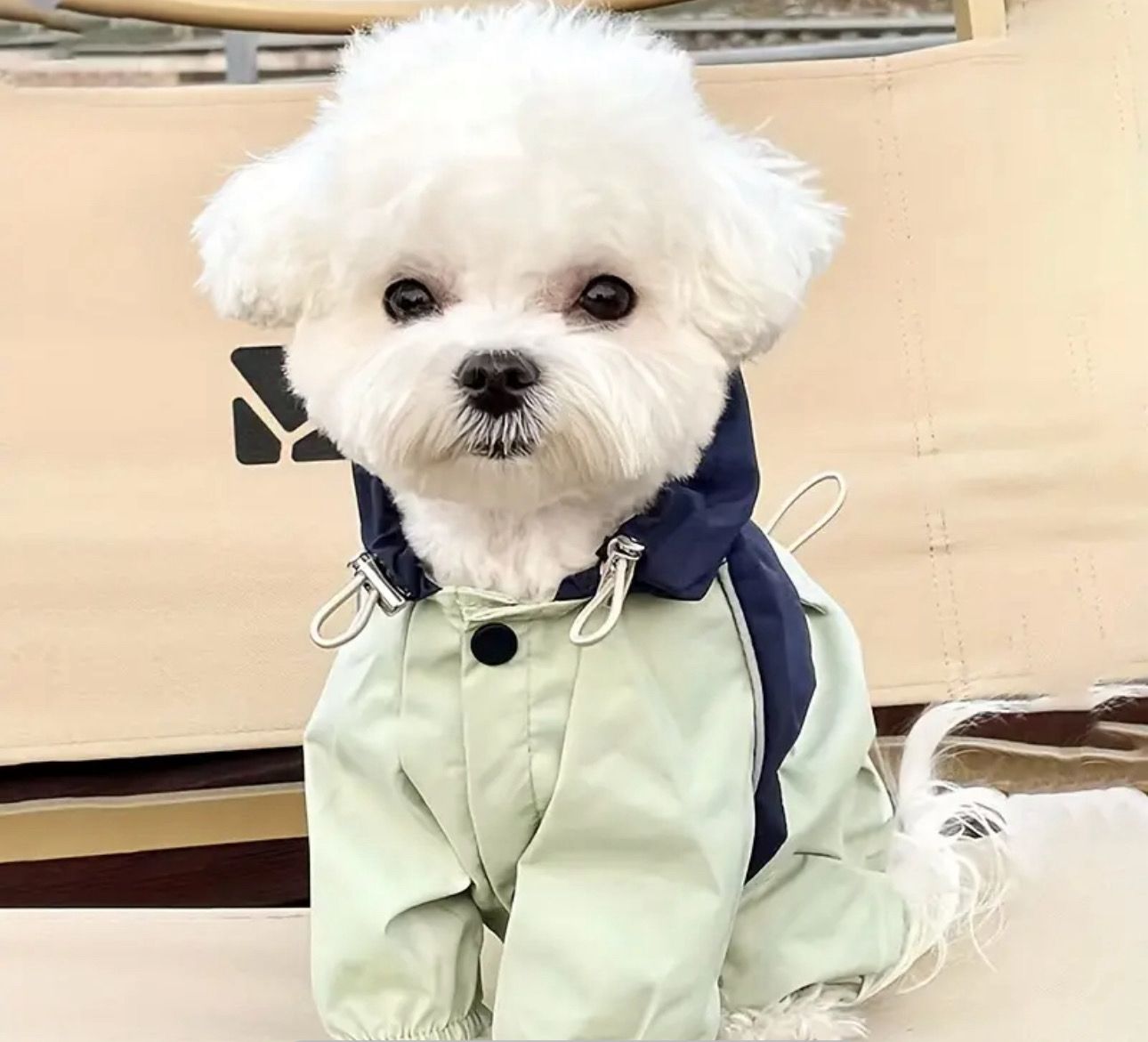 Waterproof Pet Raincoat With Hood Windbreaker