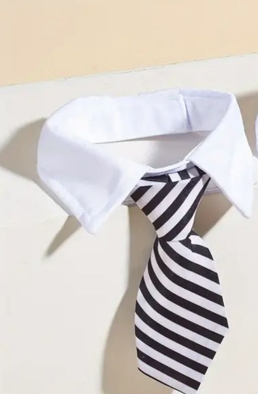 Pet Neck Tie - Stripe