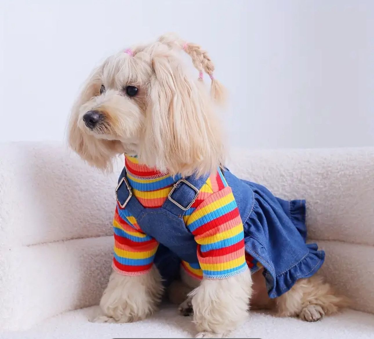 Pet Stretchy Rainbow T-Shirt & Denim Skirt With Suspenders