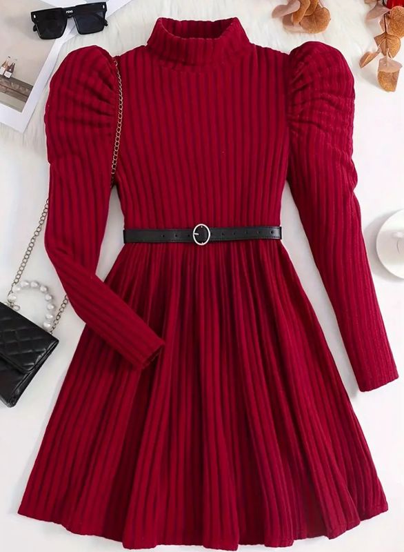 High Neck Long Sleeve Ribbed Slim Fit Knit Dress