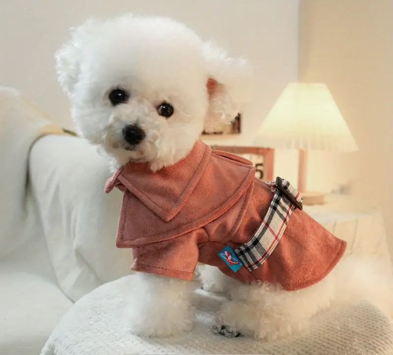 Cozy Suede Dog Coat