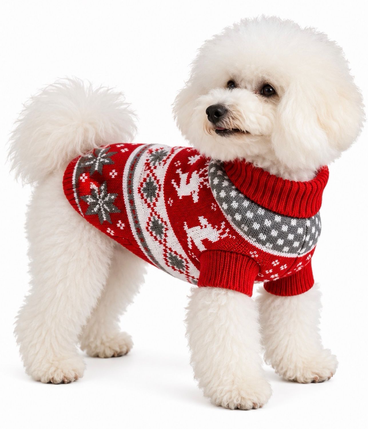 Merry & Bright Holiday Dog Sweater
