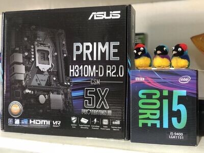 Intel Core i5-9400 + Asus Prime H310M-D R2