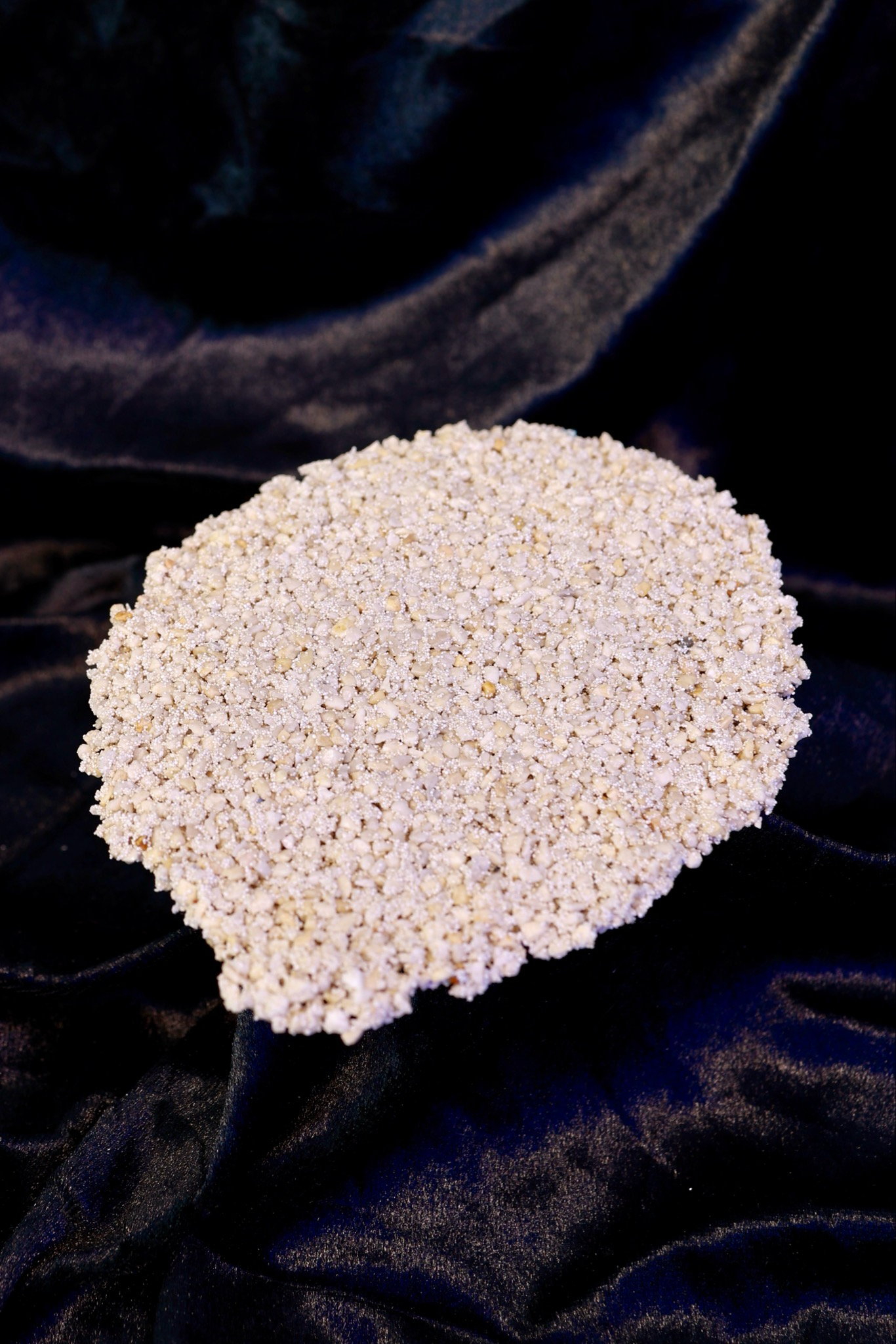 Zoa Chalice Ablegerplatte grob