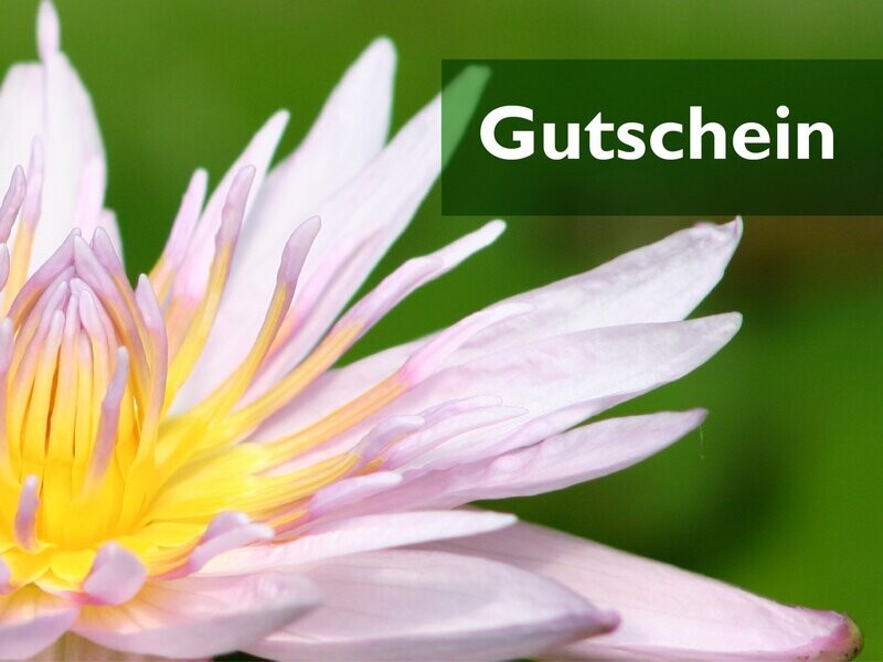Geschenkgutschein