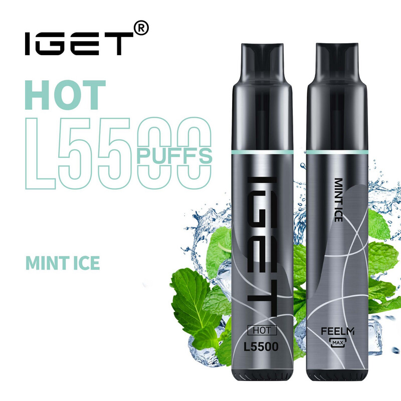 IGET HOT MINT ICE