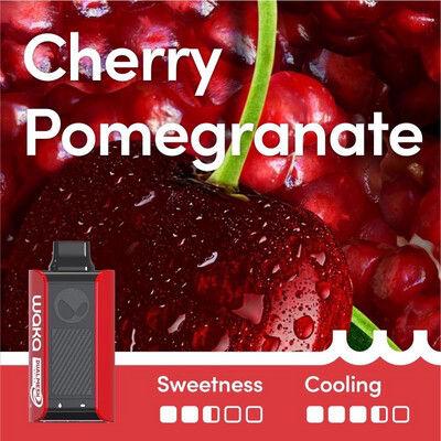 WAKA SOPRO CHERRY POMEGRANATE 10000 PUFFS
