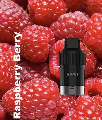 RASPBERRY BERRY POD ONLY 6000 PUFFS