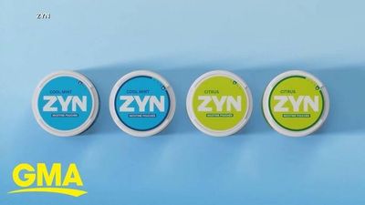ZYN POUCHES
