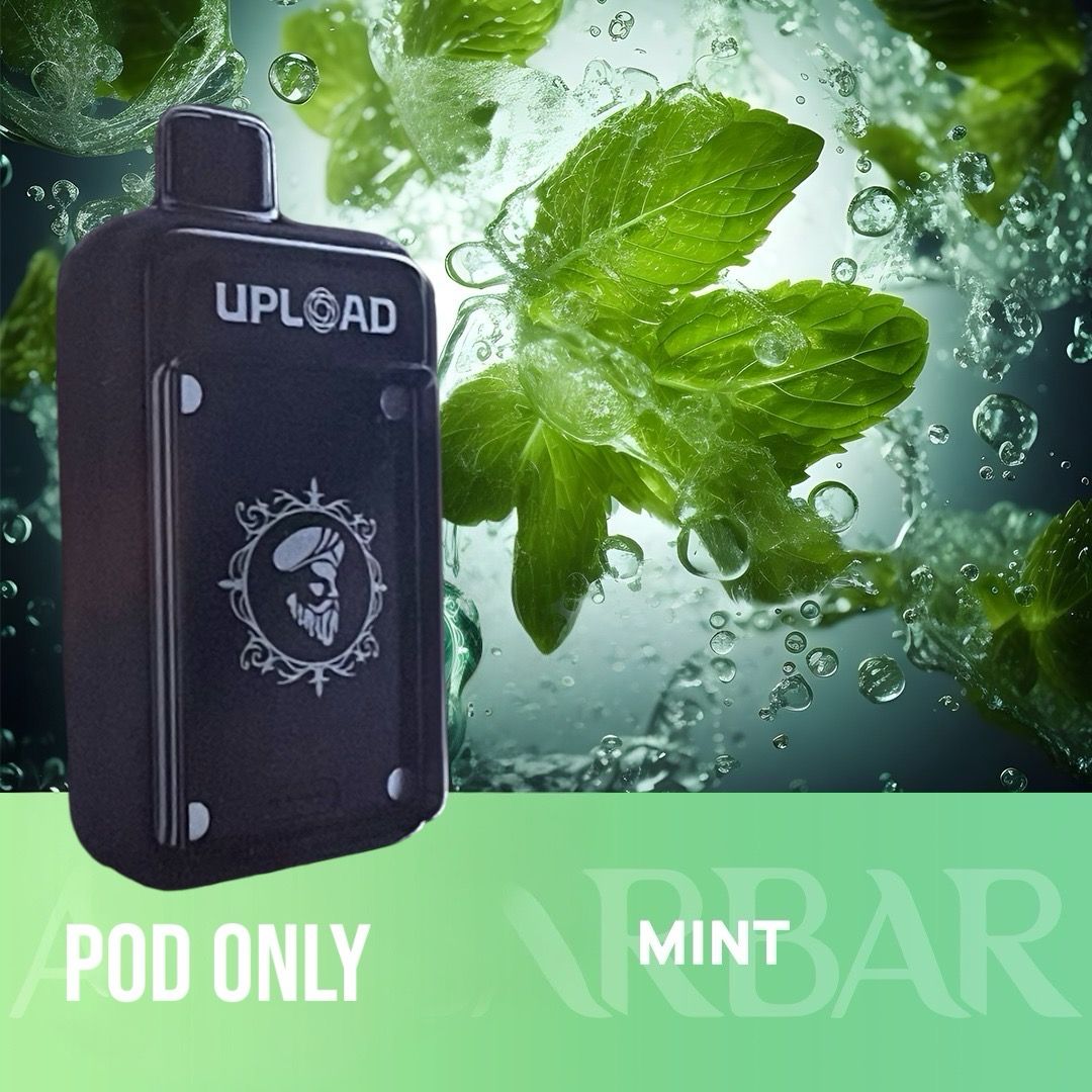 MINT POD ONLY 25000 PUFFS