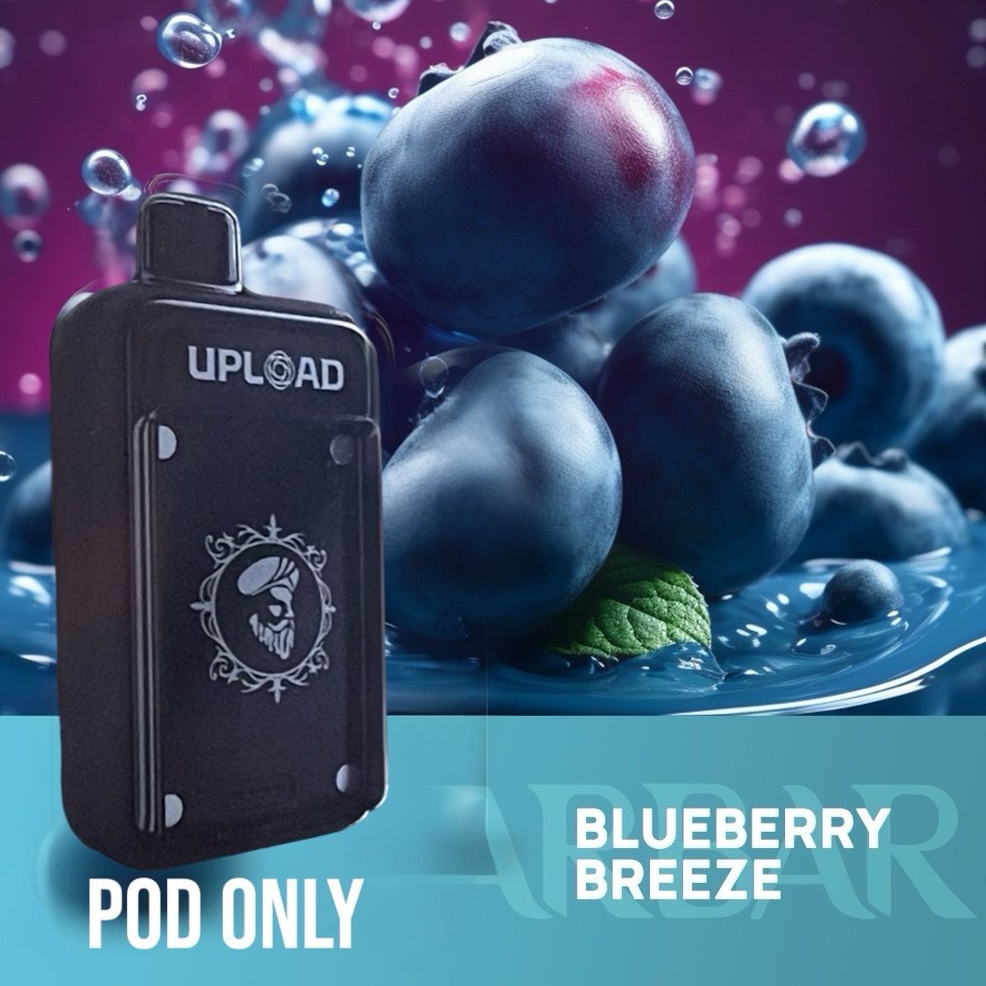 BLUEBERRY BREEZE POD ONLY 25000 PUFFS