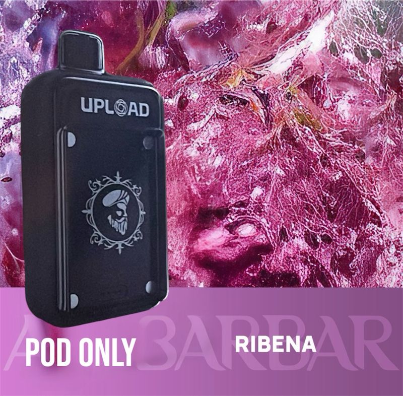 RIBENA POD ONLY 25000 PUFFS