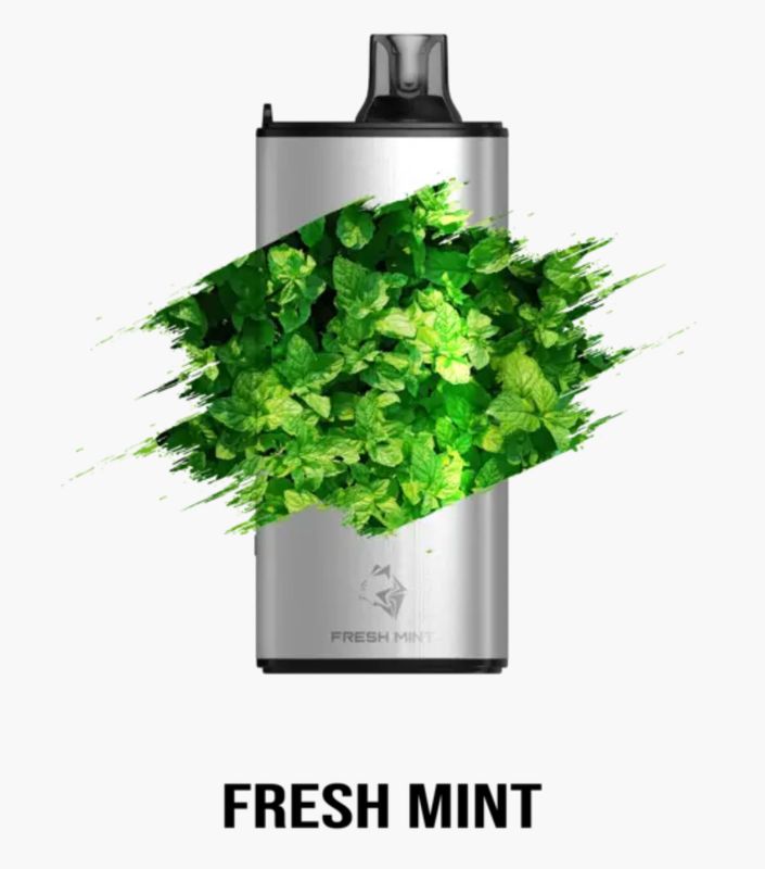 GUNNPOD EVO FRESH MINT 15000 PUFFS