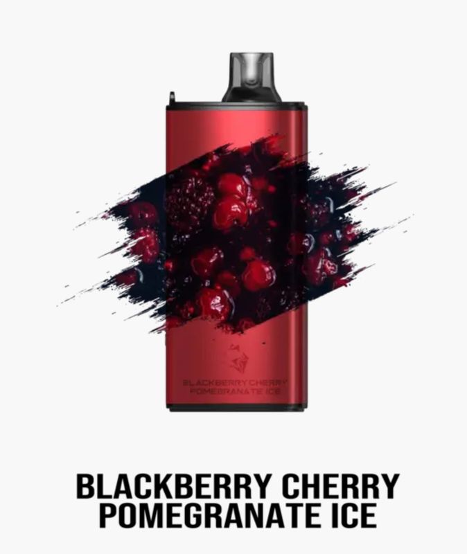 GUNNPOD EVO  BLACKBERRY CHERRY POMEGRANATE ICE 15000 PUFFS