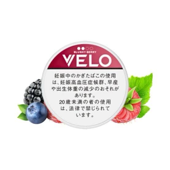 VELO ROYAL BLUSHY BERRY X-INTENSE JAPANESE VERSION