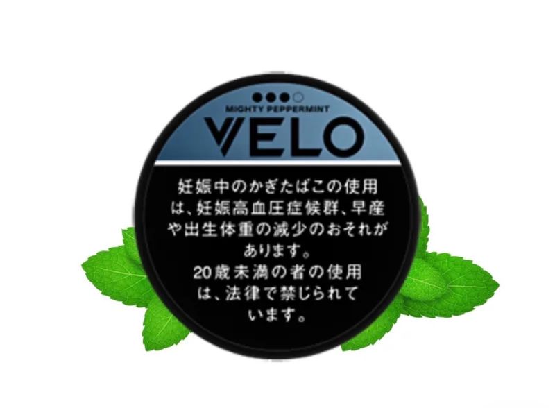 VELO ROYAL MIGHTY PEPPERMINT X INTENSE JAPANESE VERSION