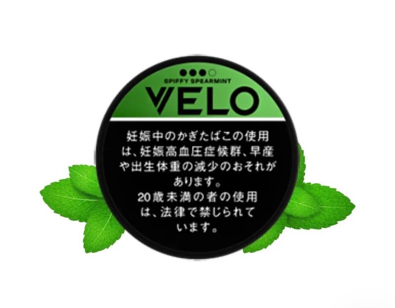 VELO ROYAL SPIFFY SPEARMINT X INTENSE JAPANESE VERSION