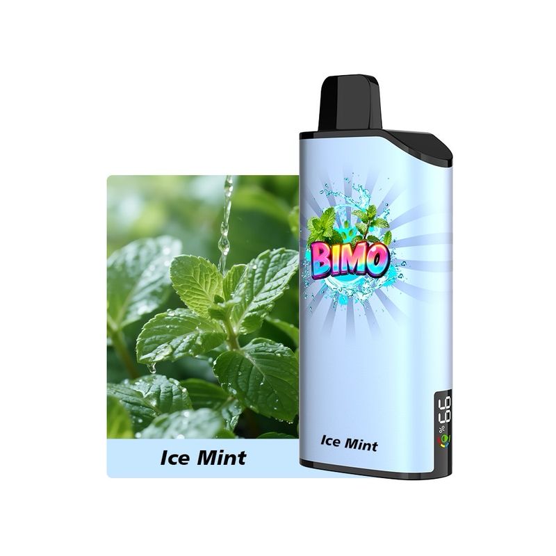 BIMO-ONE ICE MINT 9000 PUFFS