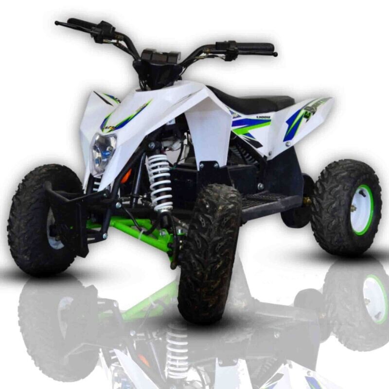 MINIQUAD ELECTRICO IMR WR1300 LITIO