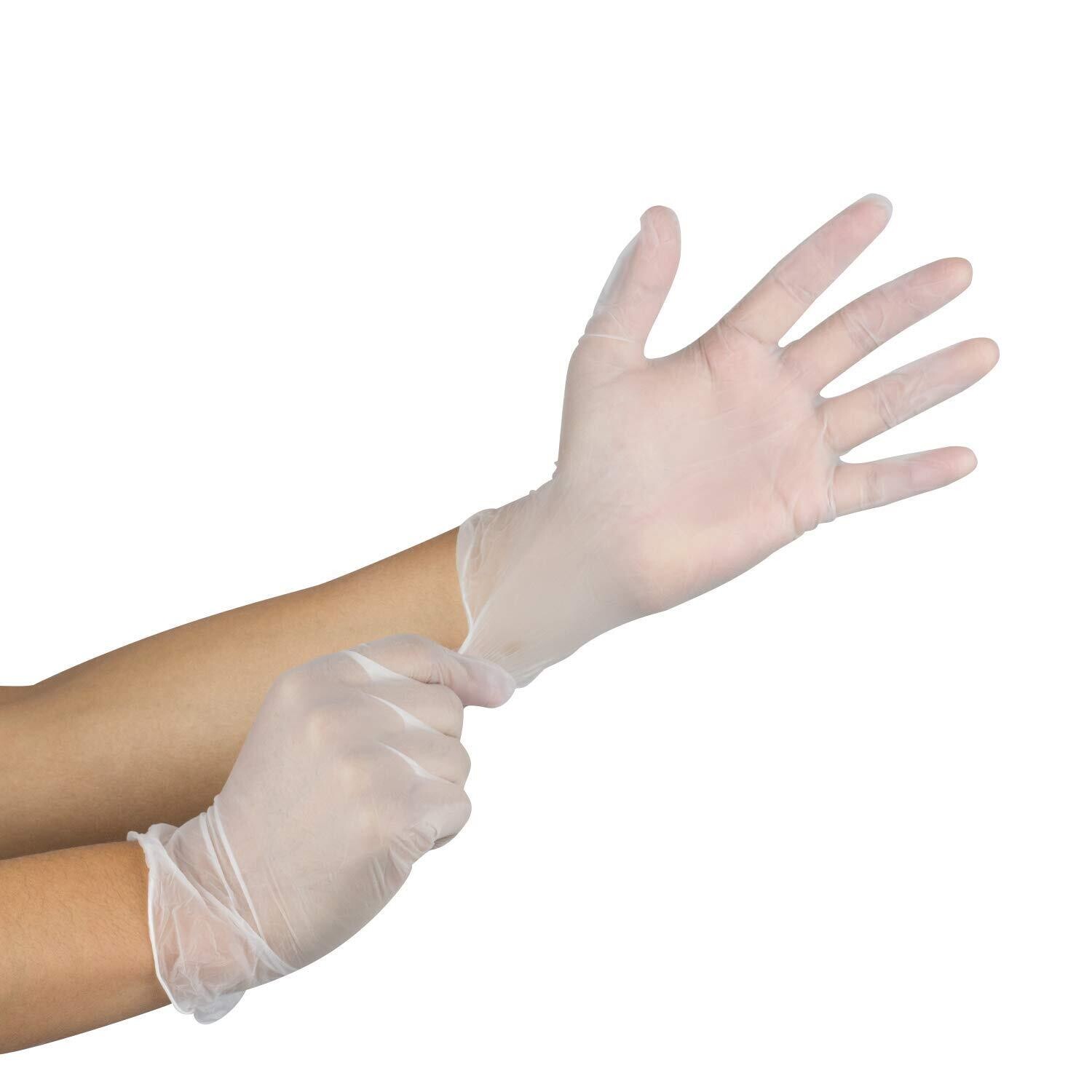 1000 Case Clear Disposable VInyl Gloves Powder Free 10 Boxes of 100pcs