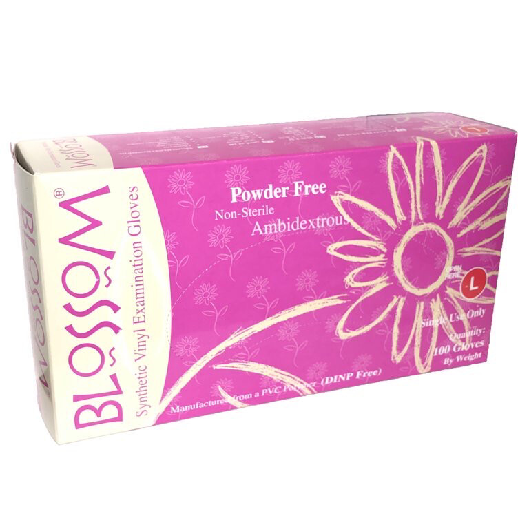 Blossom  Vinyl Powder Free Gloves, 10 Boxes