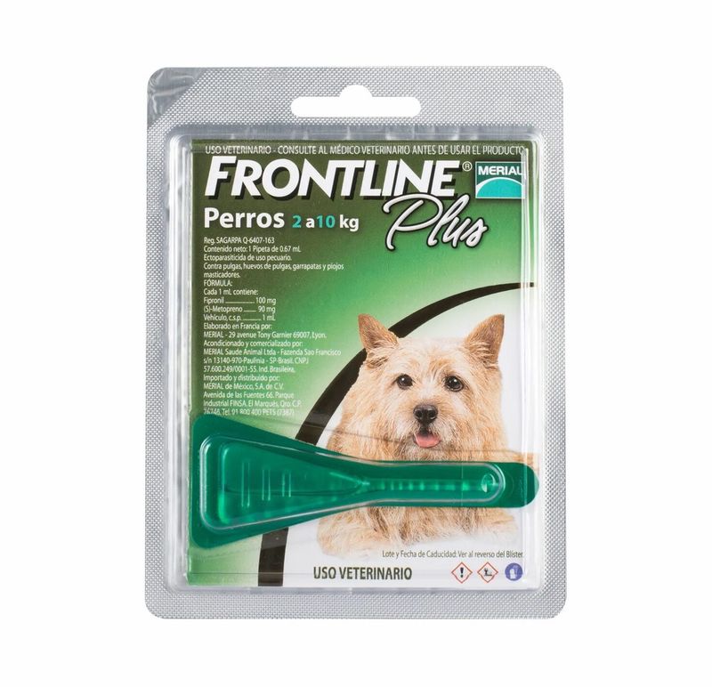 Pipeta Frontline Plus - Perros De Hasta 10 Kg