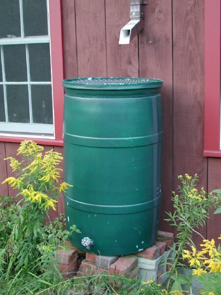 Rain Barrel 2