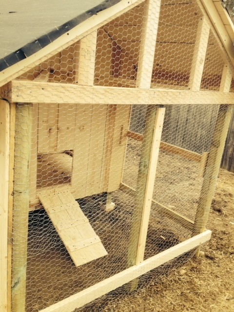 Chicken Coop Hen House and Fenced in Hen Yard/underground