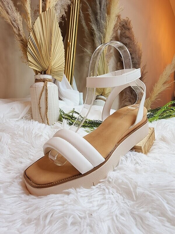 FERRARA-WHITE