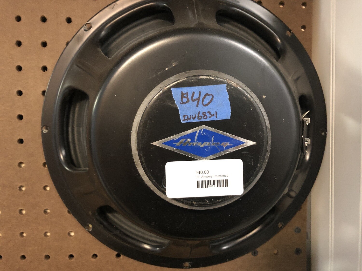 12” Ampeg Emimence