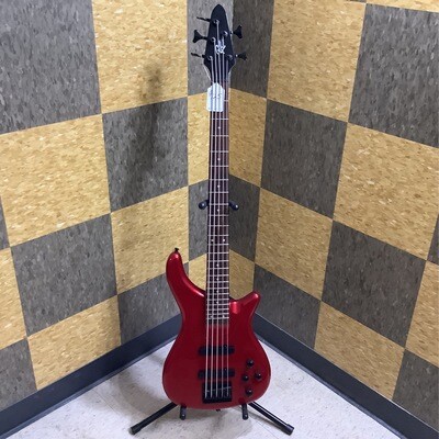 Rogue 5-String Series III Bass Guitar