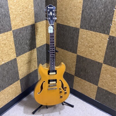 Ibenez Semi Hallow Body Electric Guitar Model AS73