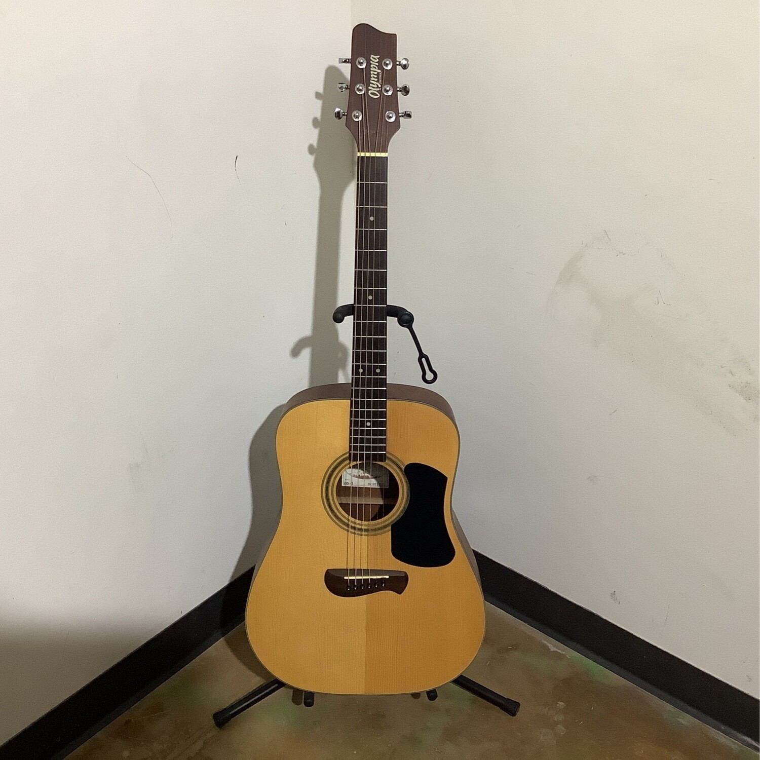 Olympia Tacoma Acoustic Guitar